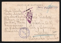 1914-17 Moscow Censorship, WWI POW Censored postcard from Moscow to Austria with blue round censor handstamp 'Viewed by censor 201' and Vienna cs