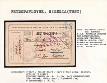 1916 Bilingual (Russian, French) P.O.W. Postcard printed for Petropavlovsk, Akmolinsk Province, Siberia, Russia, postmarked Petropavlovsk, Akmolinsk to Hora Kutna, Cechy, Austria. PETROPAVLOVSK Censorship: violet/violet-black 3 line circle (32 mm) reading