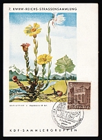 1941 'Coltsfoot', Propaganda Postcard, Third Reich Nazi Germany