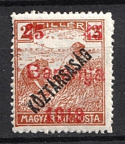 1919 45f Baranya, Hungary, Serbian Occupation, Provisional Issue (Mi. 11)