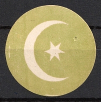 1917 Kharkov Muslim Committee, RSFSR Cinderella, Ukirane