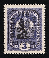 1918 3h Lviv, West Ukrainian People's Republic, Ukraine (Kramarenko 1, CV $40)