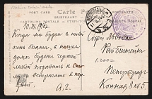 1917 Field Mobile Hospital 301 WWI postcard to Petrograd with violet medical handstamp